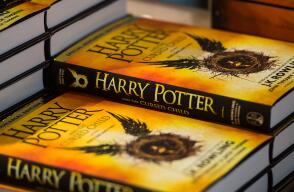 170246_potter-8-spot.jpg