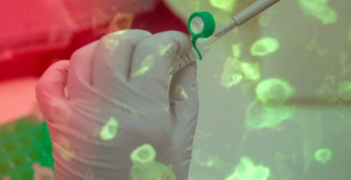 coronavirus_12.jpg