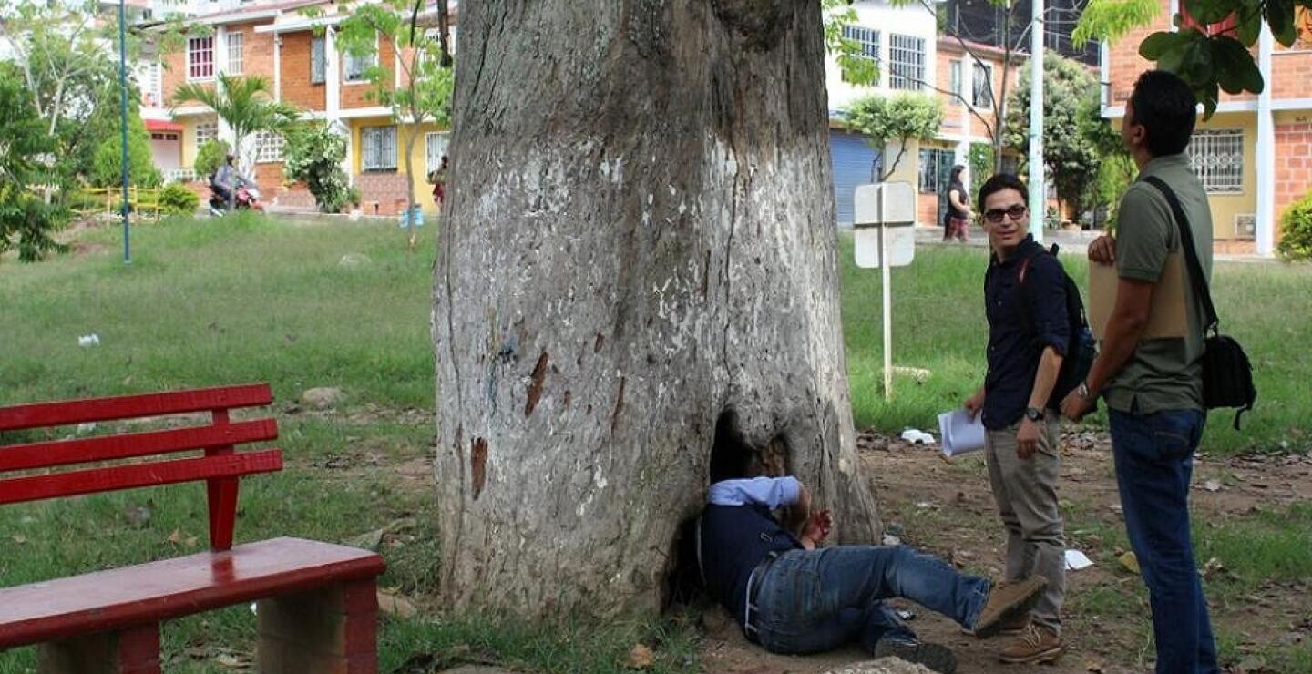 270436_Foto En una inspección de la CDMB se evidenció el mal estado del árbol