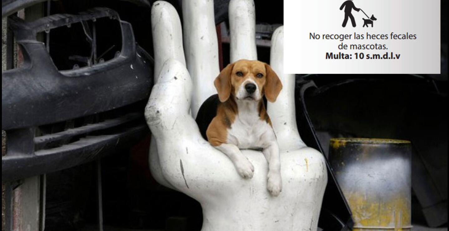 No recoger las heces de las mascotas o depositar en la basura animales domésticos muertos acarrea una multa de 205.333 pesos. 