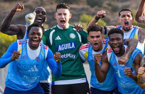 La Selección Colombia se enfrenta a Jordania en partido de preparacipon.