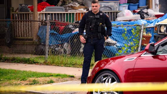 Crimen en Estados Unidos, referencia