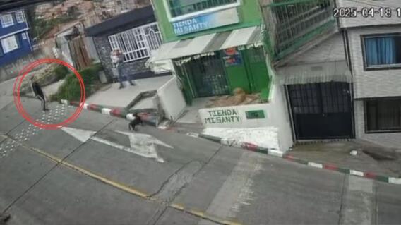 Mujer patea a un perro sin motivo aparente Mujer patea a un perro sin motivo aparente