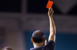 Imagen de referencia de un árbitro. 