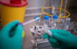 371595_Test coronavirus. Foto: AFP