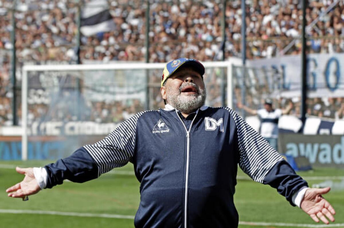 50+ Maradona Junior De Barranquilla PNG