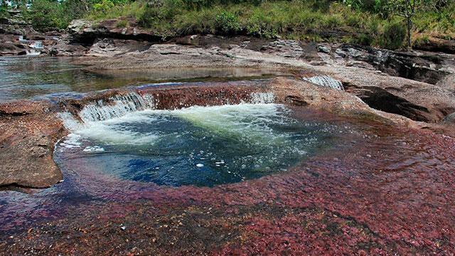 “Está en peligro”: temor por posible explotación de petróleo en Caño Cristales