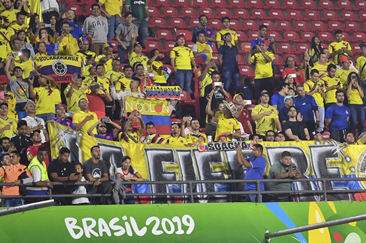 315262_hinchas_colombia_200619_afp_e.jpg