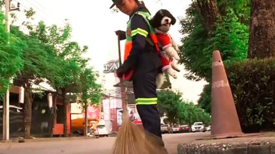 trabajadoraperro.jpg
