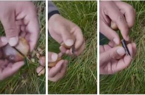 Cayó banda delincuencial en Cundinamarca que utilizaban papas para pinchar llantas