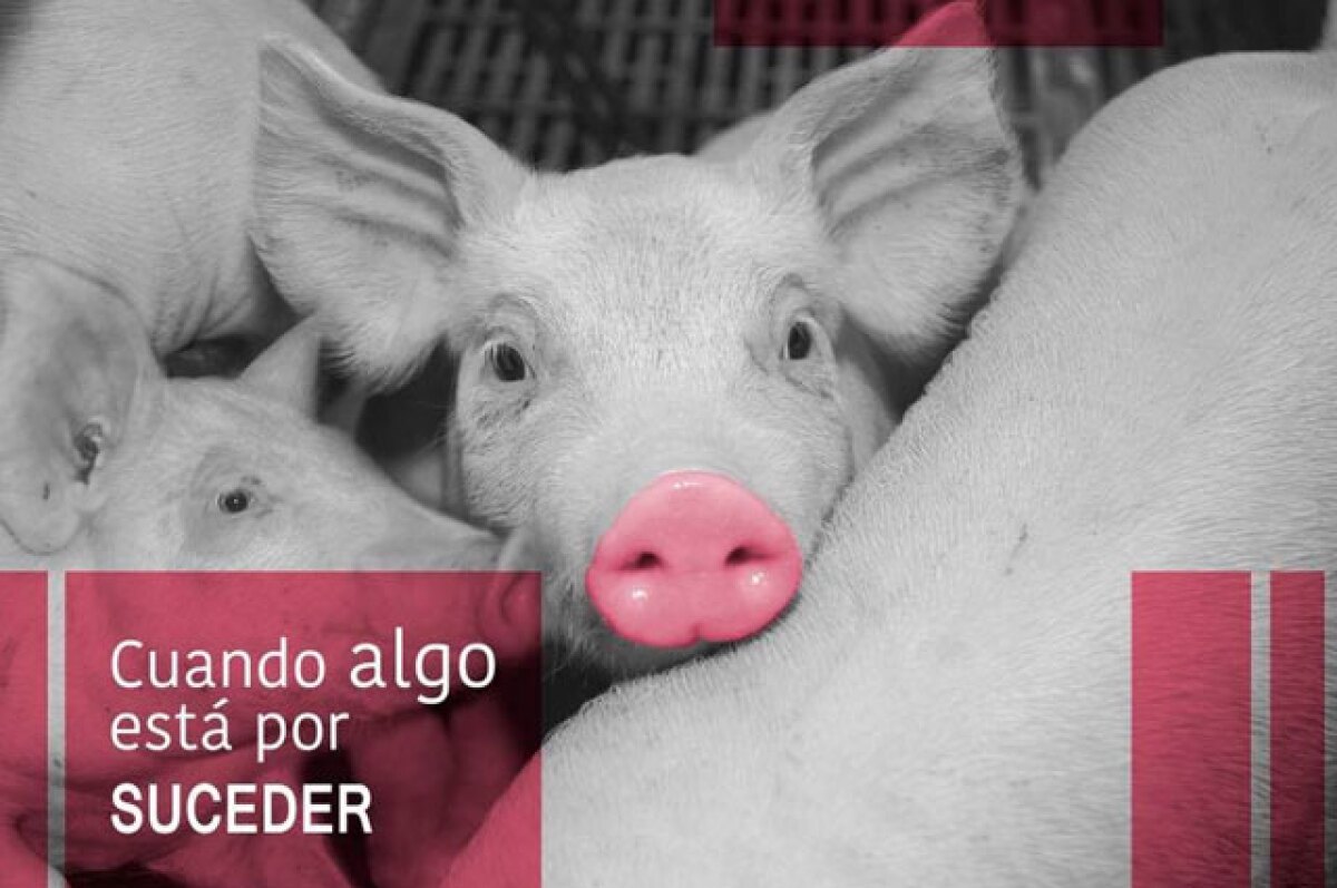 porkcolombia.jpg