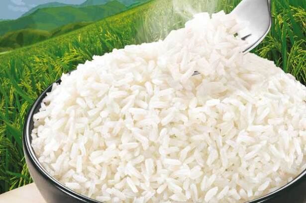 250215arroz.jpg