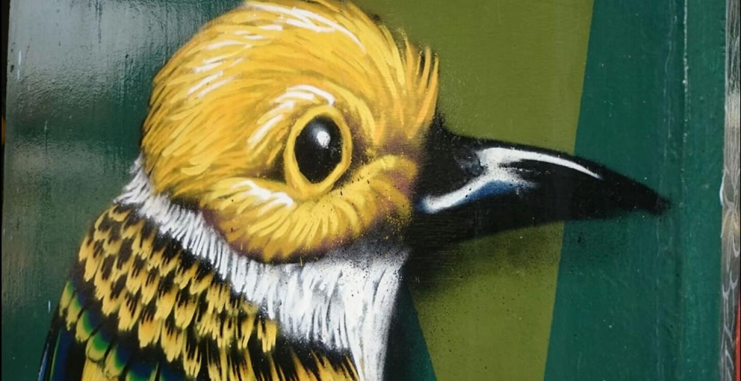 Su función es atender los requerimientos de los ciudadanos, relacionados con el embellecimiento de la ciudad.