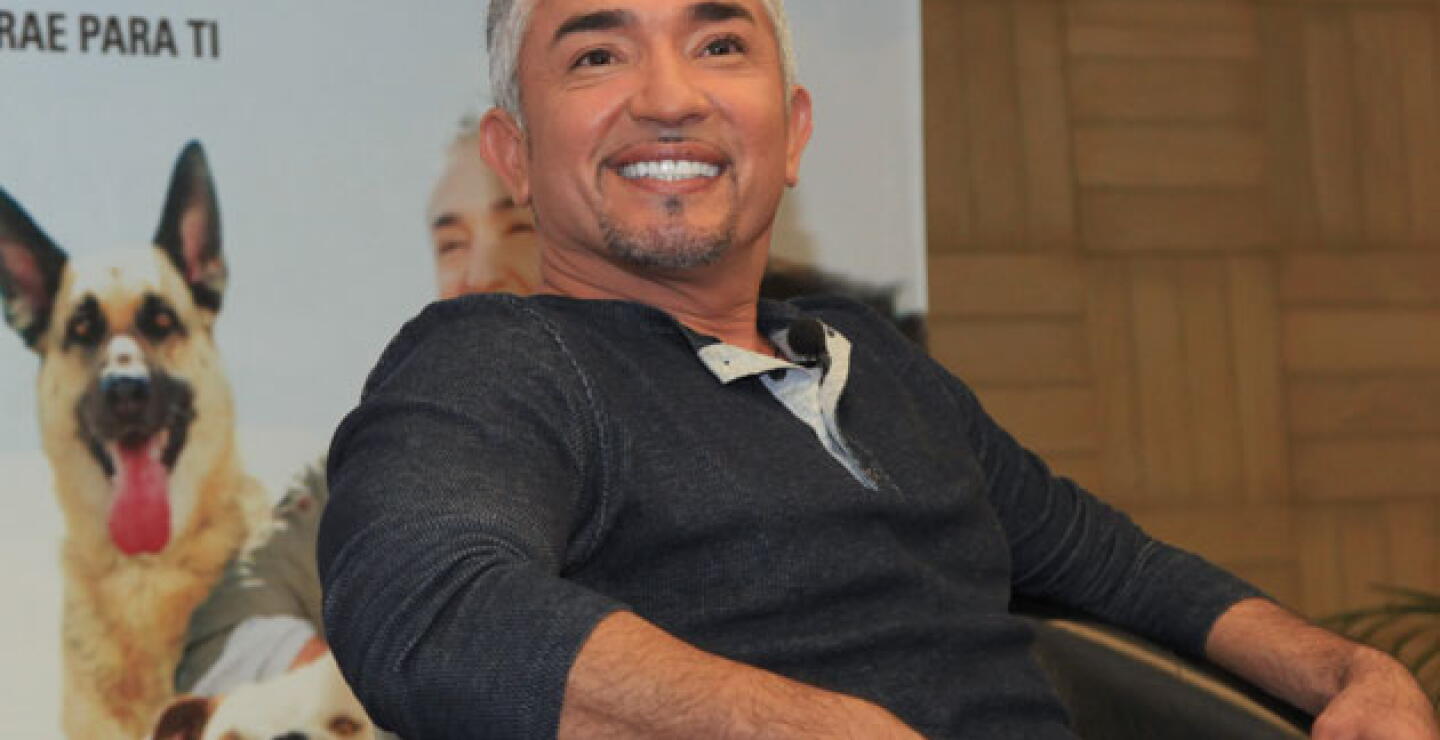 060215cesar-millan_ap.jpg