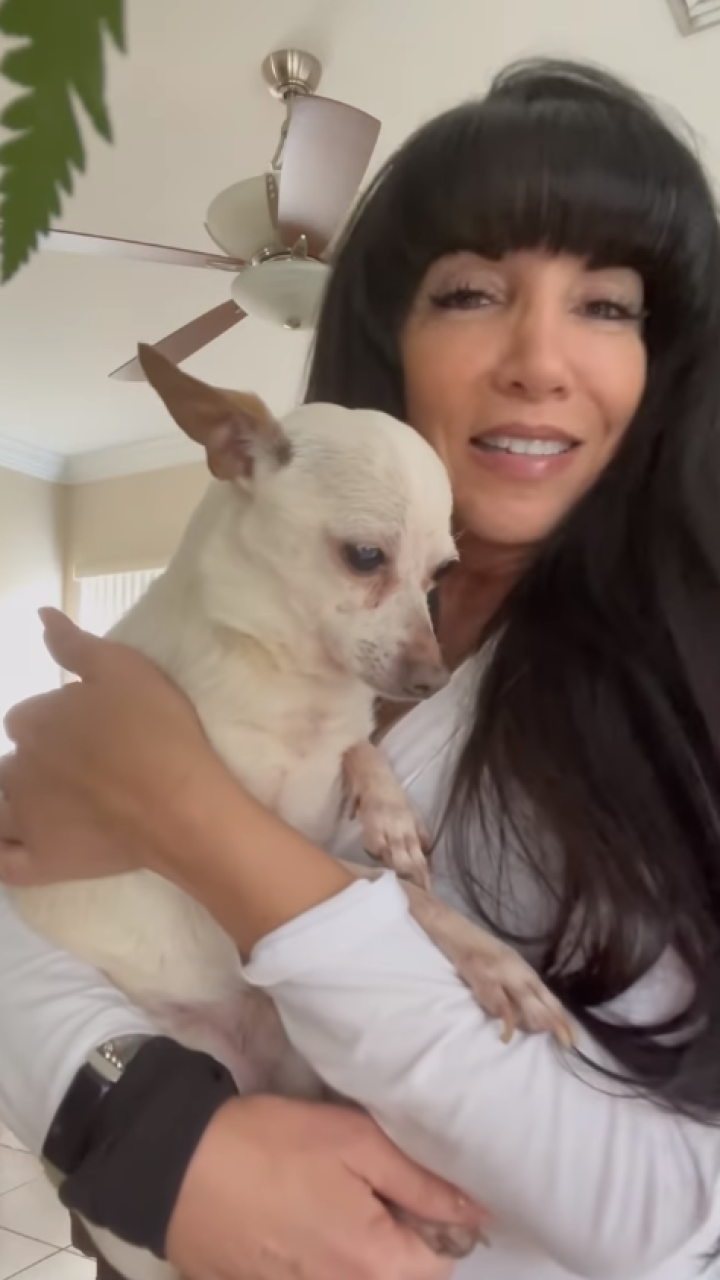 Conozca a TobyKeith, el perro más longevo del mundo según el Libro Guinness