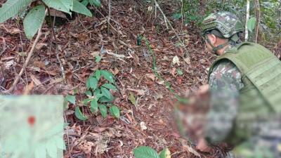 Con ayuda de un canino especializado antiexplosivos, fueron ubicadas las minas en zona rural de Anorí