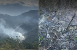 Incendios en Ortega, Tolima: 14.000 hectáreas quemadas y 35.000 reses en riesgo por emergencia