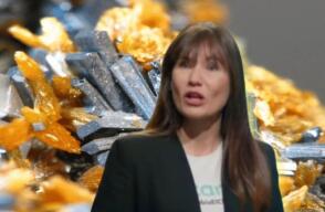 Zulma Guzmán y cómo habría conseguido el talio