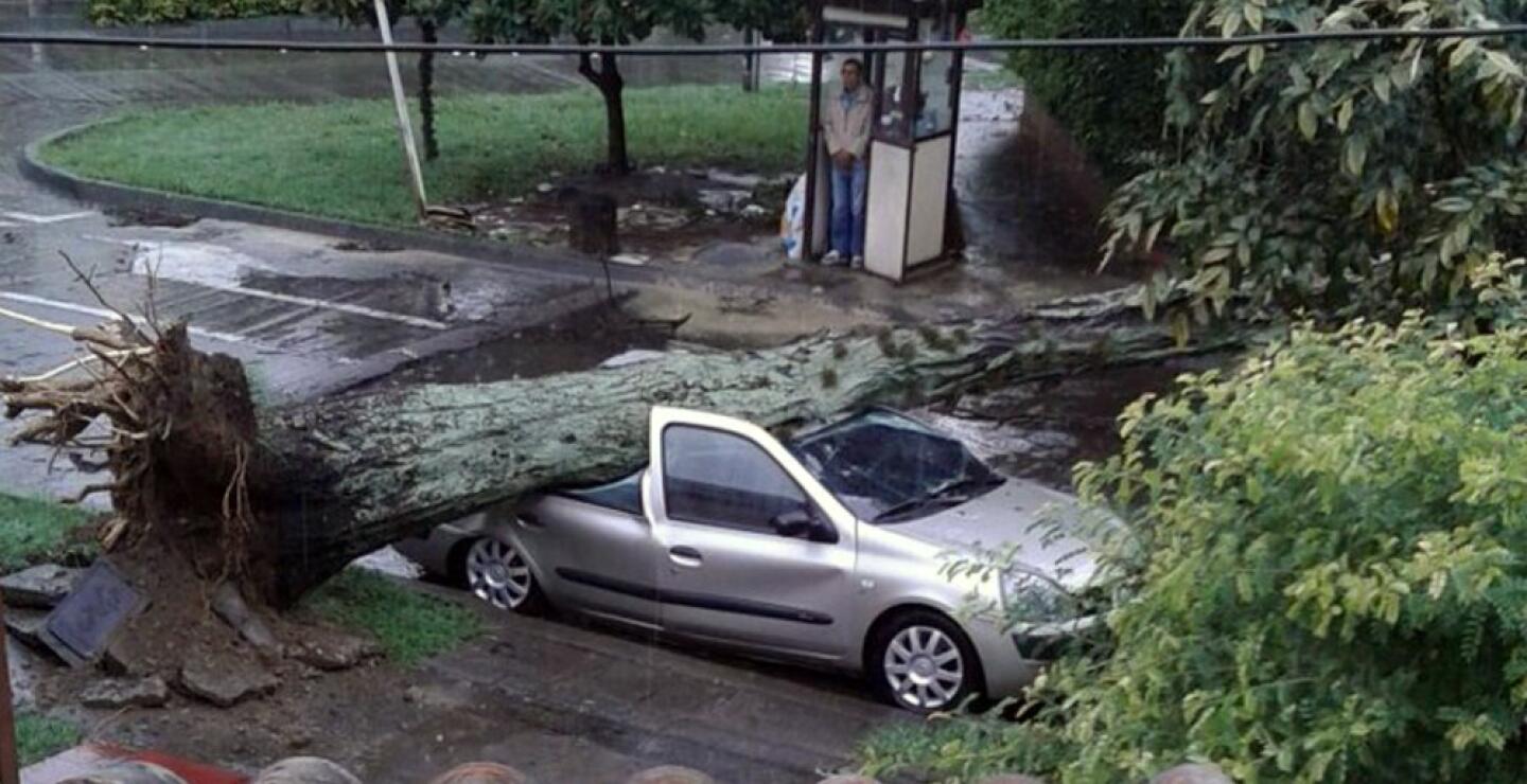 274197_Foto: Cortesía.