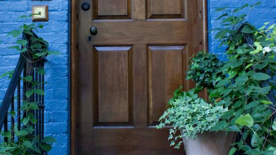 La planta que debe tener en la puerta de casa para atraer abundancia La planta que debe tener en la puerta de casa para atraer abundancia