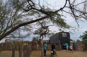 Proyecto ‘Ishashi Palaa'