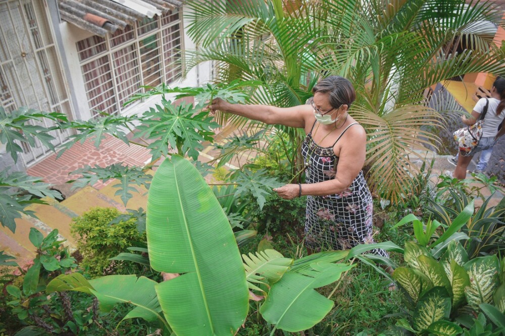 HUERTAS COMUNITARIAS COMUNA 18 DE CALI FOTO MARIO BAOS   (12).jpg