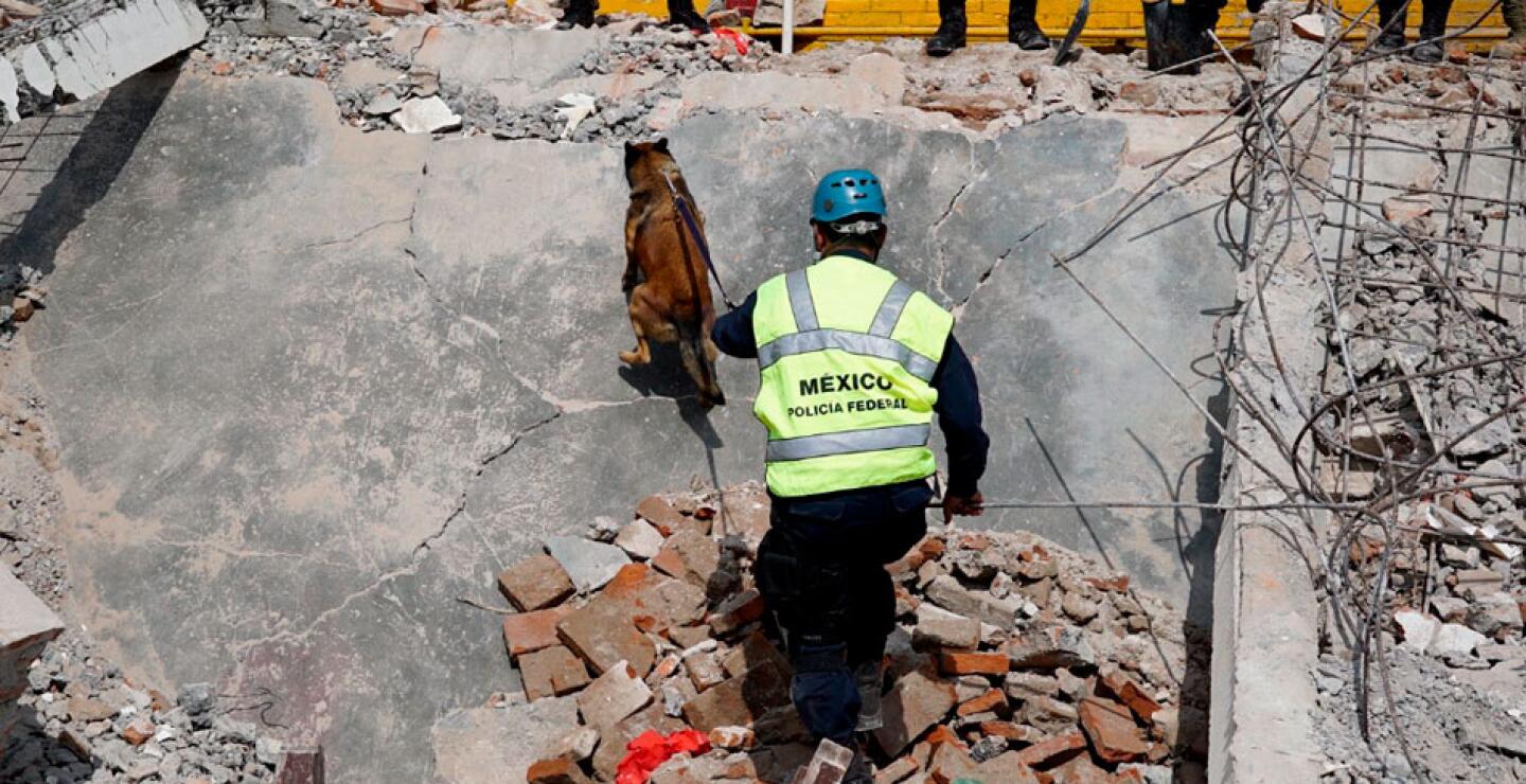 En algunas ocasiones a los rescatistas les es difícil seguir el paso a los caninos.