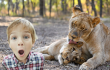 Niño desaparecido sobrevivió cinco días dentro de jaula con leones en un parque