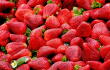Fresas / Fruta