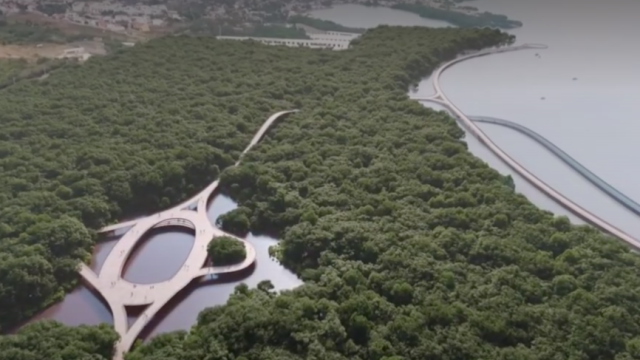 Barranquilla biodiverciudad 