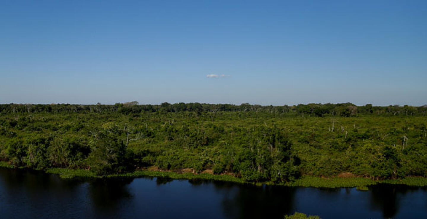 amazonia.jpg
