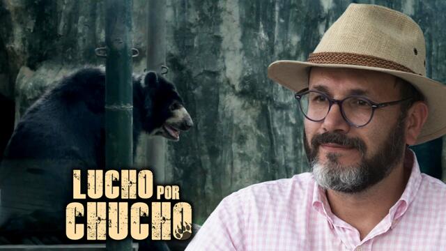 El oso Chucho y la lucha que su abogado ha emprendido por sus derechos El oso Chucho y la lucha que su abogado ha emprendido por sus derechos