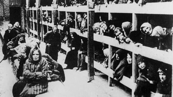 Auschwitz
