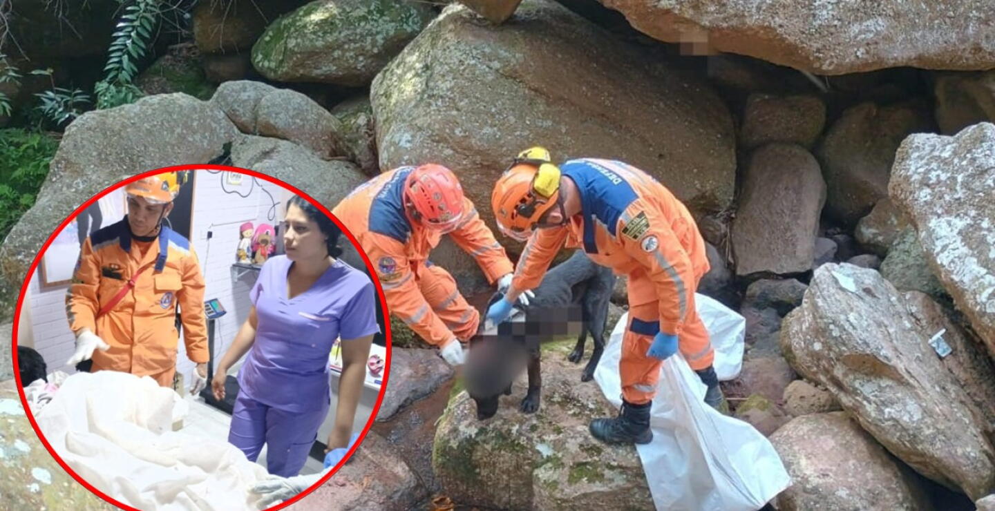 Rescatan perro en Piedecuesta.JPG