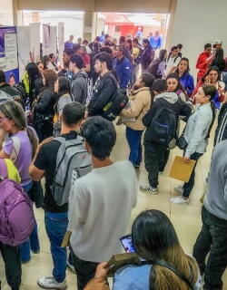 empleo.jpg