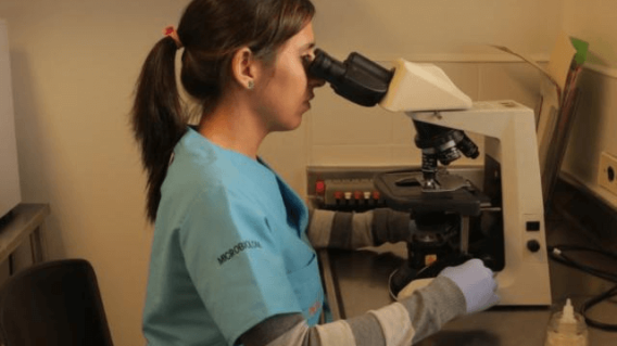coronavirus_en_antioquia.png