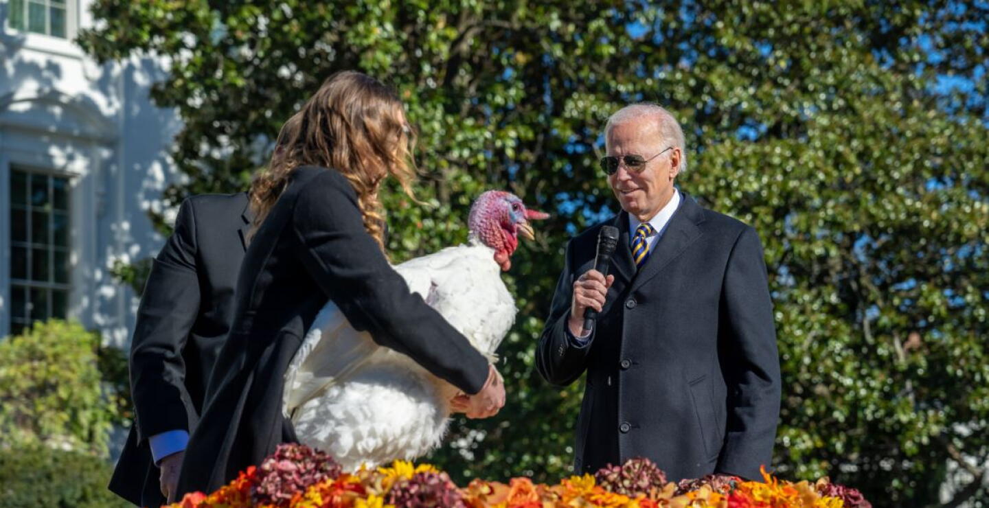 JOe Biden pavos
