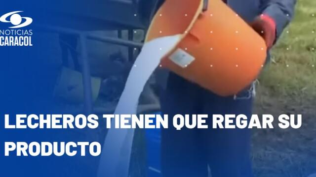 Dura realidad: campesinos botan la leche, se quejan porque les pagan el litro a $1.500