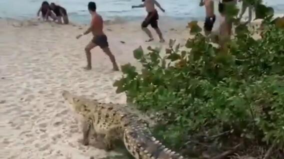 324763_Foto: Tomada del video compartido por @AAriasPeriodist en Twitter