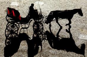 385694_caballos1.jpg