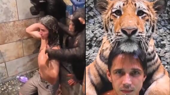 21093_Tarzan juega con animales salvajes / Foto: Captura facebook 21093_Tarzan juega con animales salvajes / Foto: Captura facebook