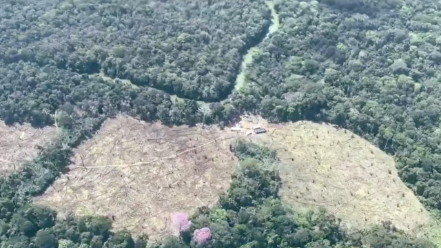 Deforestación en Colombia Deforestación en Colombia