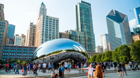 Frijol-Chicago.jpg Frijol-Chicago.jpg