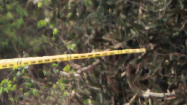 Masacre de una familia en Landázuri, Santander: hay una niña entre las víctimas Masacre de una familia en Landázuri, Santander: hay una niña entre las víctimas