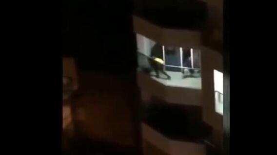 348803_BLU Radio. Maltrato animal en Bucaramanga / Foto: captura de video