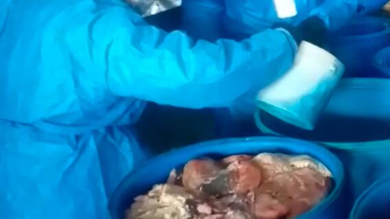 350846_BLU Radio. Fábrica ilegal de embutidos en Bosa // Foto: BLU Radio