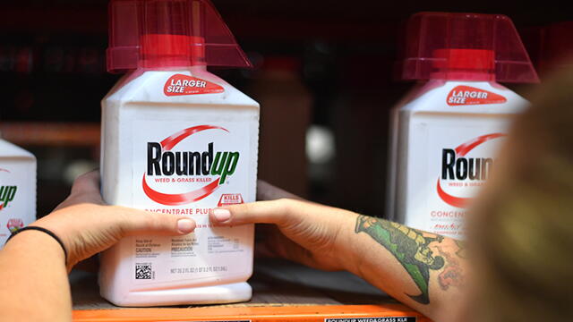 Monsanto deberá pagar US$2.000 millones a pareja con cáncer atribuido a herbicida con glifosato