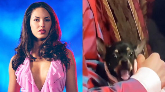 Una escena de Rubí se volvió viral en las redes sociales por causa de un perro. Una escena de Rubí se volvió viral en las redes sociales por causa de un perro.