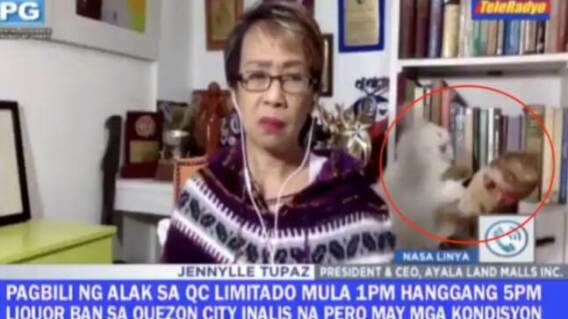 Twitter: nikkibigornia