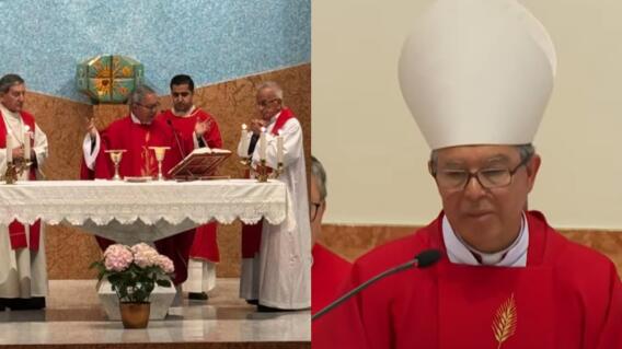 cardenales colombianos cardenales colombianos